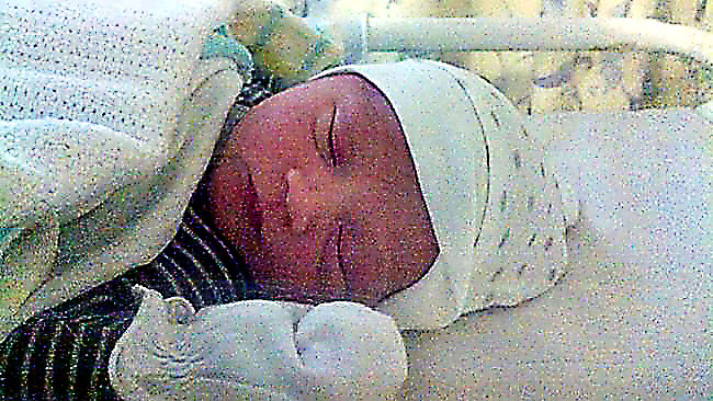 fish 1 day old.jpg
