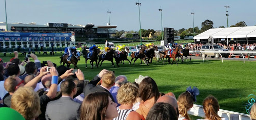 Cox Plate.PNG